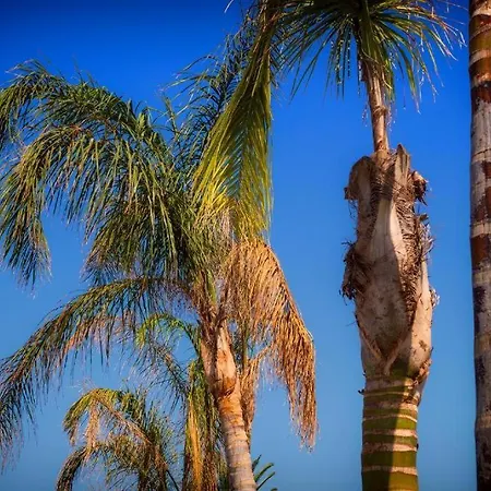 Palm Ogliastra Konukevi 4*